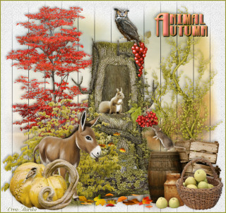 Animal autumn